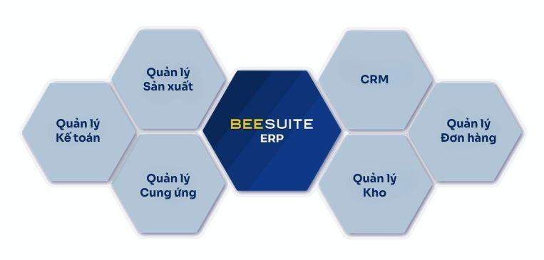 BeeSuite ERP 
